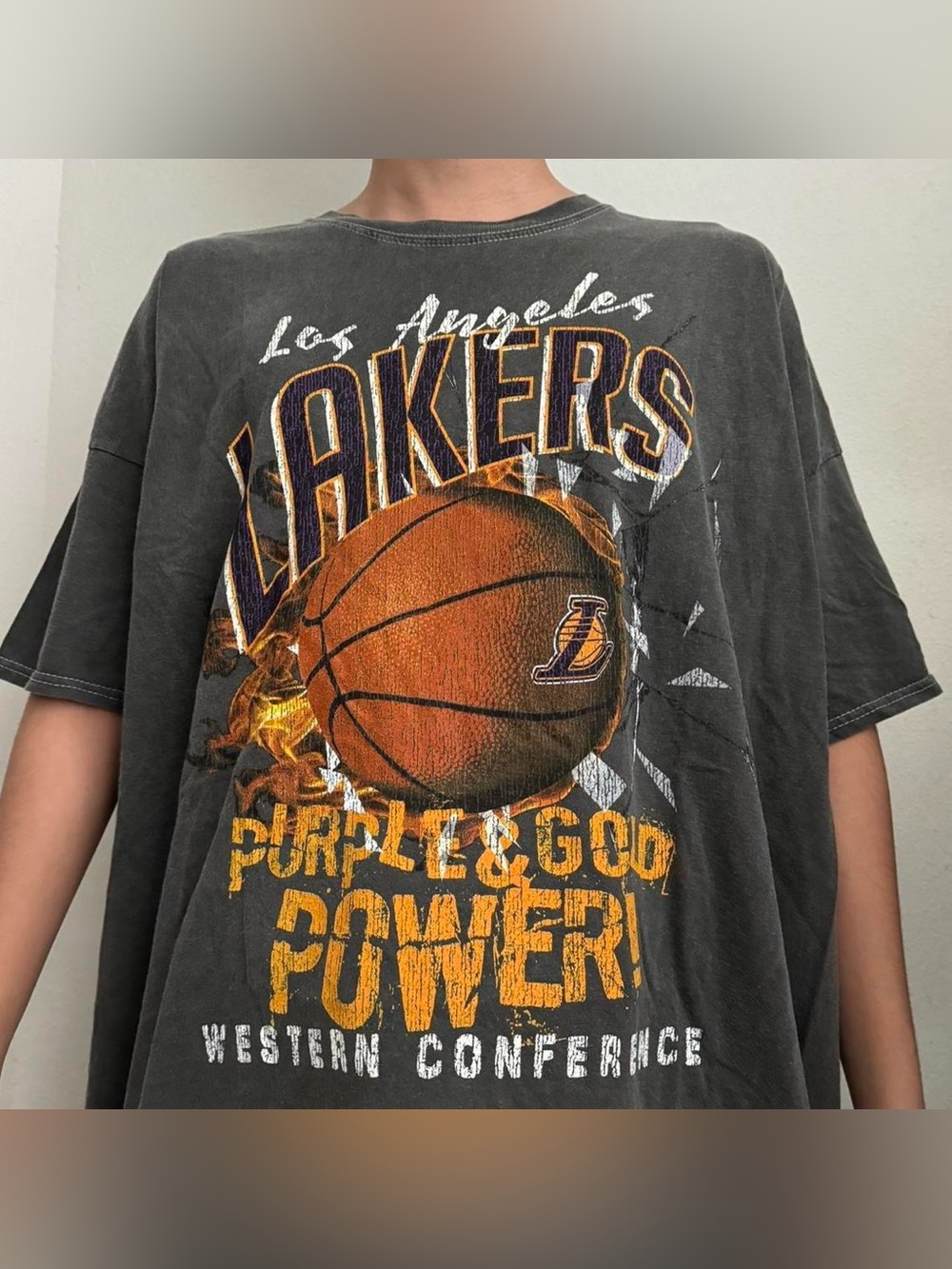 NBA Los Angeles Lakers AOP Graphics Gray Tee Shirt